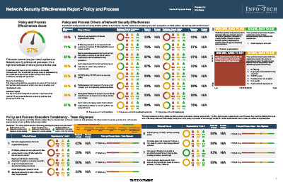 Policy and Process Effectiveness Report Example